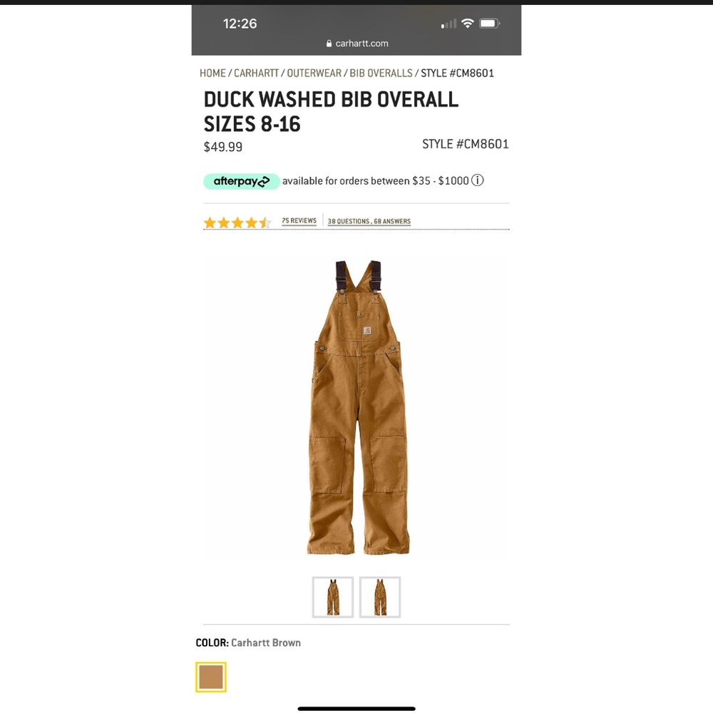 NWT Carhartt youth duck bibs 12